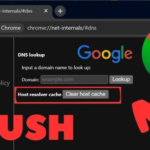 clear DNS cache